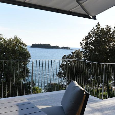Buric House - M Suite - 95M2 And 54 M2 Terrace ロヴィニ エクステリア 写真