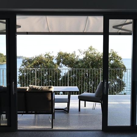 Buric House - M Suite - 95M2 And 54 M2 Terrace ロヴィニ エクステリア 写真